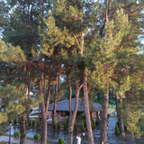 Изображение 022