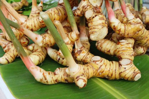17b197d4334095ac2df7bea999f6f42e.jpg