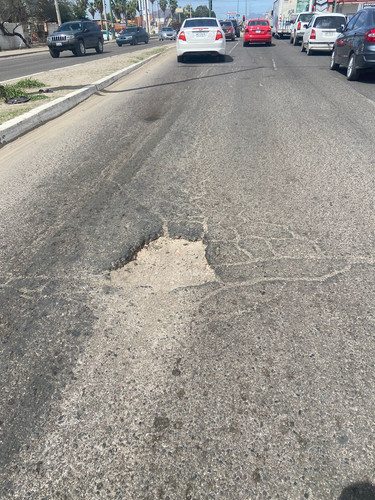BACHE 134.jpg