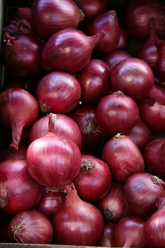 Red Onion.jpg