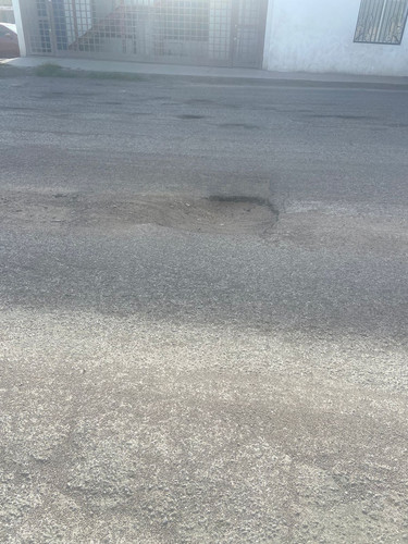 BACHE 164 B.jpg