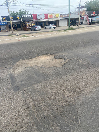 BACHE 144.jpg