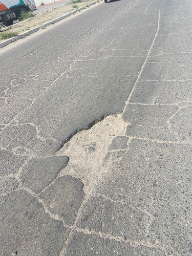 BACHE 137.jpg