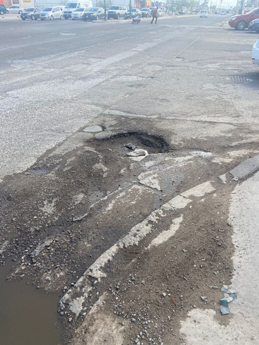 BACHE 142.jpg