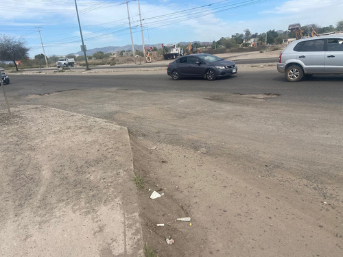 BACHE 146.jpg