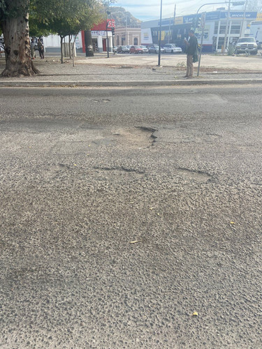 BACHE 162.jpg