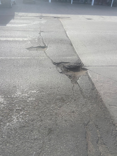 BACHE 163 B.jpg