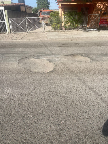 BACHE 156.jpg