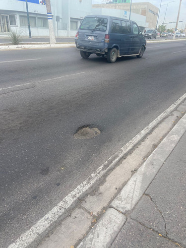 BACHE 161.jpg