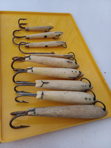 IMG 2023 03 23 18 15 32 986.jpg