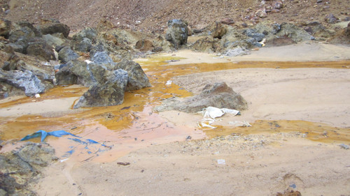 Monika Avetisyan.jpg