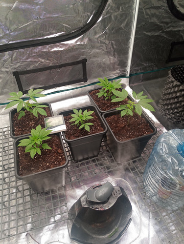 IMG 20230323 193311 067.jpg