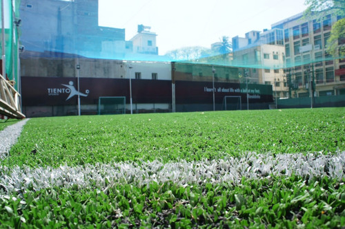ground8.jpg