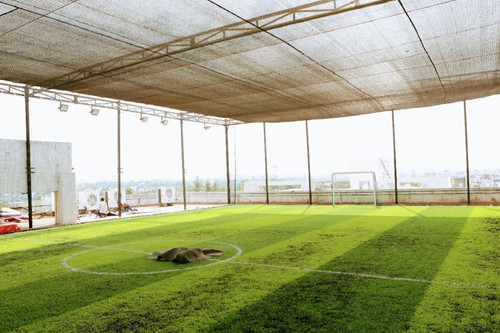 ground6.jpg