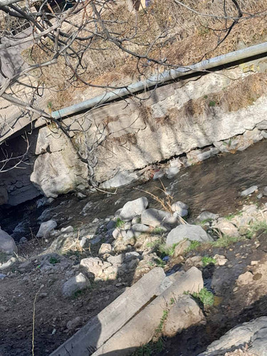 Karine Hovhannisyan.jpg