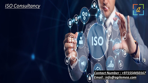 ISO Consultancy.jpg