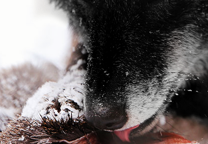 lueneburglina enook0501ina 02 20190317 1488926407 (1).png