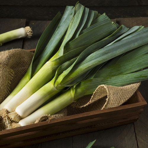 Leek.jpg