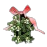 mistletoe removebg preview