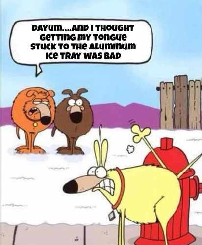 35D1D34A 6B8B 4A57 AB46 87C60C3C11AC.jpg