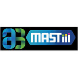 Mastii 2i