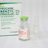 Procaine penicillin 600000 IU and Benzyl Penicillin 200000 IU Injection GMP approved manufacturer