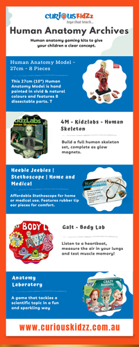 Human Anatomy Archives.png