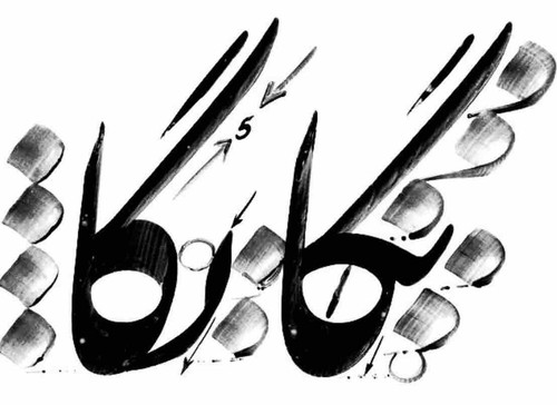 6CFF4F46 B379 47E9 8F10 AAED9026450D.jpg