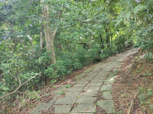 IMG20230819102015.jpg