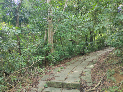 IMG20230819102011.jpg