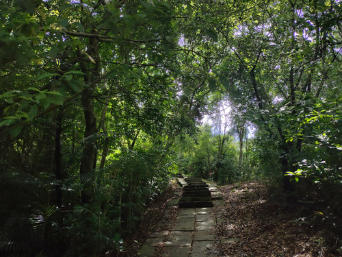 IMG20230819102026.jpg