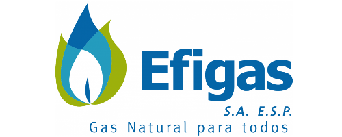 logo efigas.png