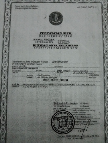 scaled 69b02a70 8270 4cf9 aeb8 16c2457b613b3684815651064333778.jpg