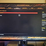1000003313