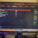 1000003317