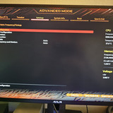 1000003331