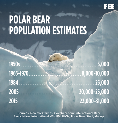 polarbear population estimates.png
