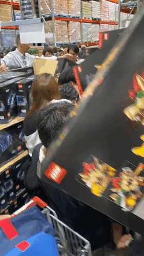 GIF 230825 161817.gif
