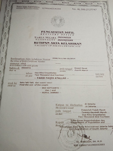 scaled 62fa01b3 d068 4033 b8d7 955bb3f390a93633301511256661660.jpg