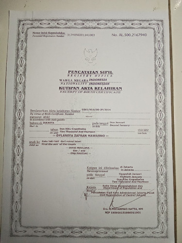 scaled 534412d8 8bfb 4f30 9f62 4fb392b714972699397561268471300.jpg