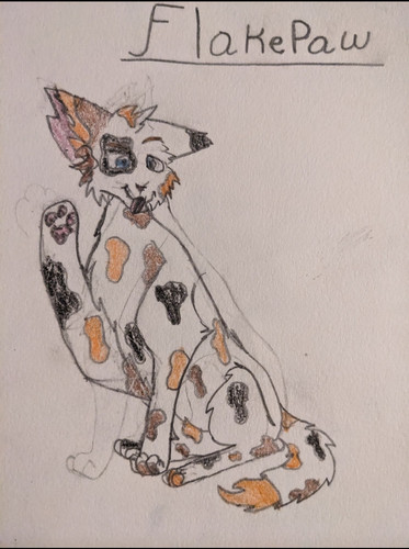 Screenshot 20230812 091921.jpg