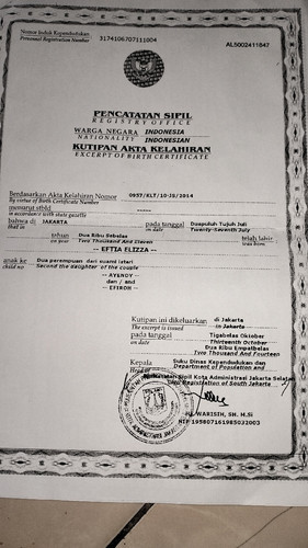 scaled 0673d6a6 2f5c 46df 832e cfbd2b9cf5a5362141136729462351.jpg