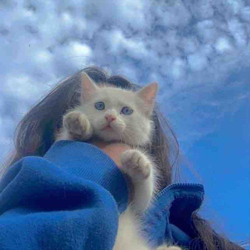 554CA9ED 3950 4C15 958A 225E688FB6D9.jpg