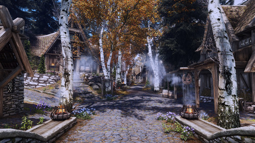 SH2 ENB.jpg