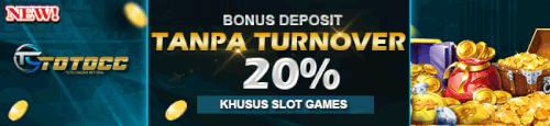 NEW PROMO 20.gif