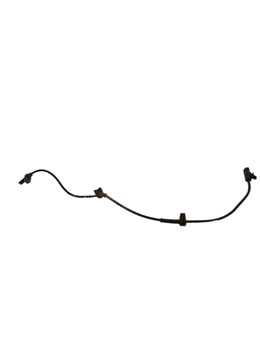 PhotoRoom 20230823 110232.png