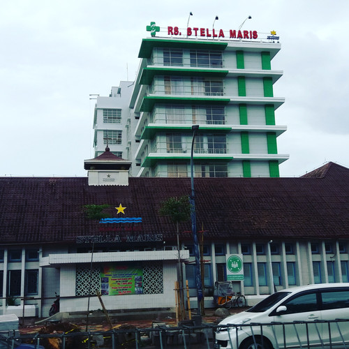 rs stella.jpg