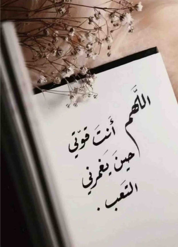 E5DD2466 A8C1 4297 820B 5F79A654E020.jpg