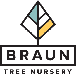 logo tree nursery.png