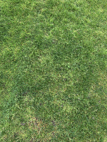 A12703D2 C1EA 4A96 9CAF 09A6E8BE4693.jpg